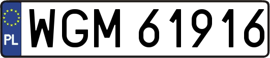 WGM61916