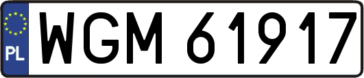 WGM61917