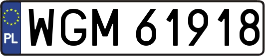 WGM61918