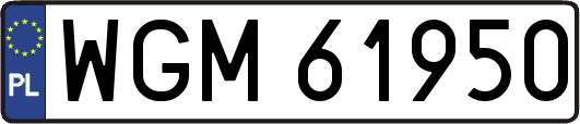 WGM61950