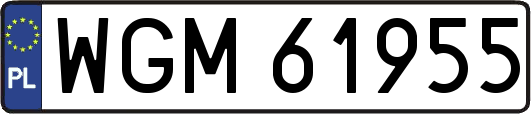 WGM61955