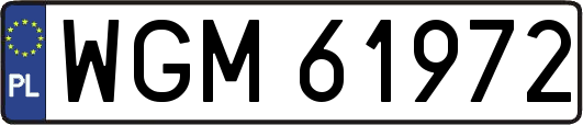 WGM61972