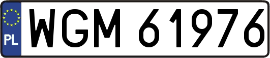 WGM61976