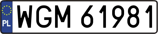 WGM61981