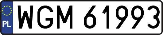 WGM61993
