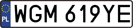 WGM619YE