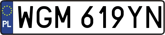 WGM619YN