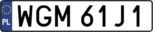 WGM61J1