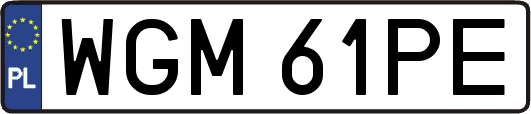 WGM61PE