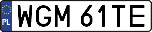 WGM61TE