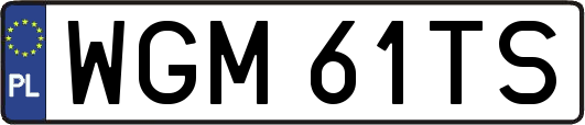 WGM61TS