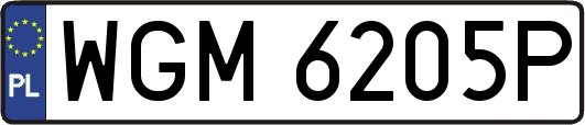 WGM6205P