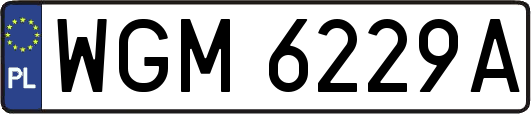 WGM6229A