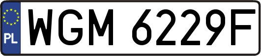 WGM6229F