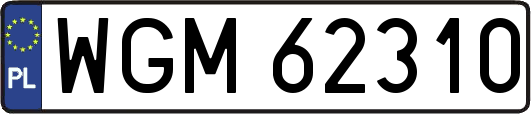 WGM62310