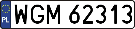 WGM62313