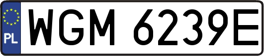 WGM6239E
