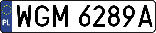 WGM6289A