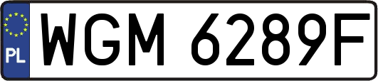 WGM6289F