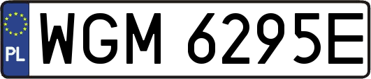 WGM6295E