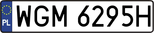 WGM6295H