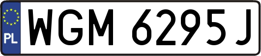 WGM6295J