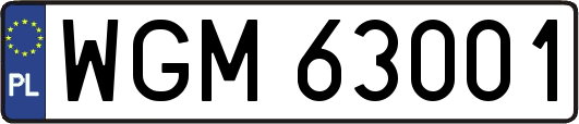 WGM63001