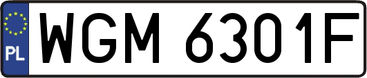 WGM6301F