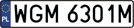 WGM6301M