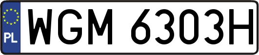 WGM6303H