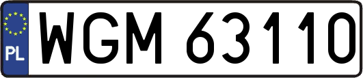 WGM63110