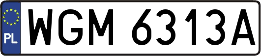 WGM6313A