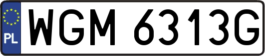 WGM6313G