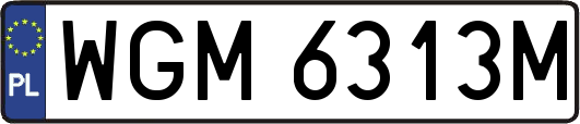 WGM6313M
