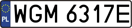 WGM6317E