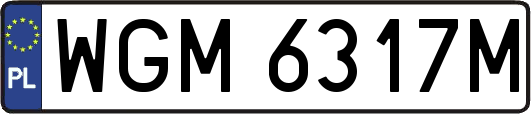 WGM6317M
