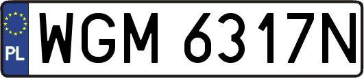 WGM6317N