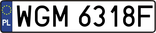 WGM6318F