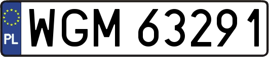 WGM63291
