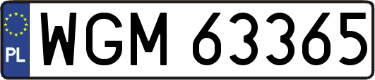 WGM63365
