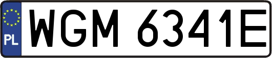 WGM6341E
