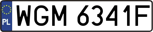WGM6341F