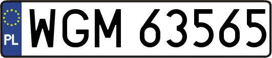 WGM63565