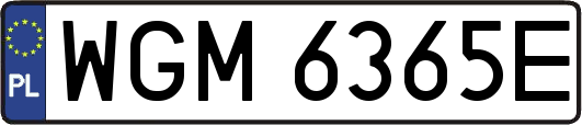 WGM6365E