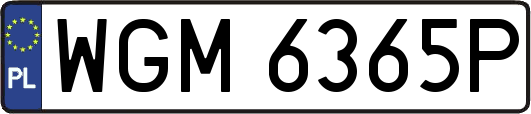 WGM6365P
