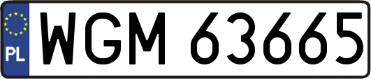WGM63665