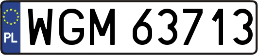 WGM63713