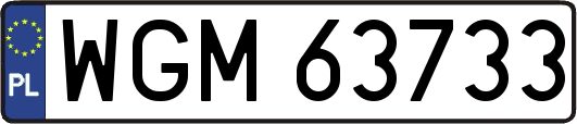 WGM63733