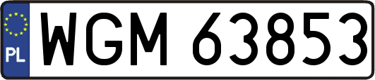 WGM63853