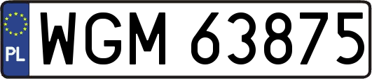 WGM63875